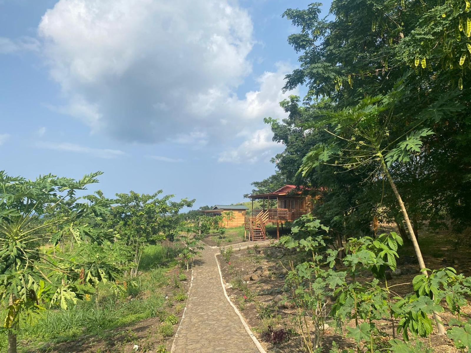 Monte Mar Saotome Villa Morro Peixe Exterior foto